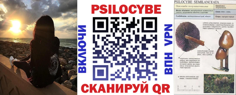 Псилоцибиновые грибы Cubensis Тында